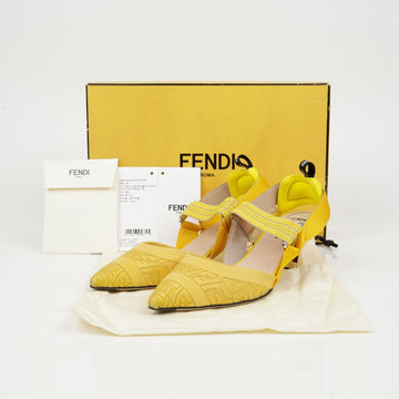 FENDI Kolibri Pumps Absatz 38 152600801