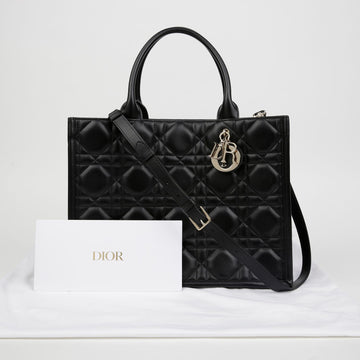 Dior Medium Tote Shoulder Bag M1324OWHP 152928345