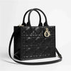 DIOR Book Tote Klein Tasche M1325OWHP_M900 153848946 [P]