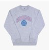 WILD DONKEY Sweatshirt mit Syracuse-Logo in Grau 153743901 [P]