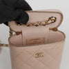 CHANEL Caviar Cosmetic Vanity Shoulder Crossbody Bag AP2195 154389096 [P]