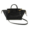 Celine Little Luggage Bag 155104566 [P]