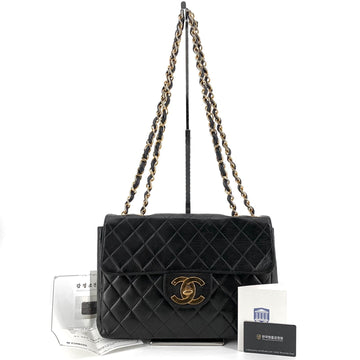 CHANEL Big CC Logo Classic Lambskin Large Shoulder Bag 155382701