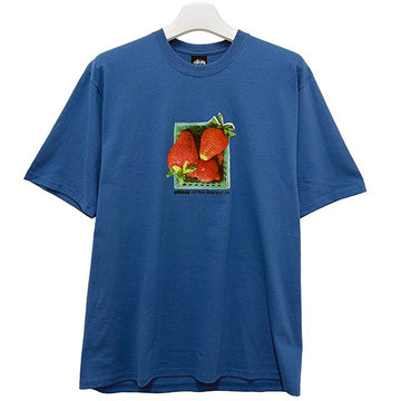 STUSSY ベリーズ 半袖 Tシャツ ブルー (1905108 0801) 155791645