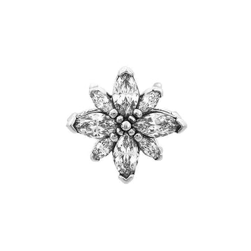 Pandora Sparkling Polaris Charm Silver Women Charm 793591C01 140549210