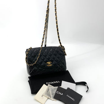 CHANEL Vintage Lambskin Round Flap Crossbody Bag 155924958