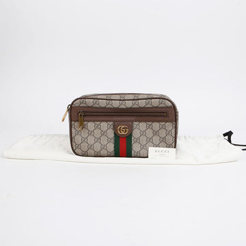 GUCCI オフィディア ウェブ ベルトバッグ 574796 155793344