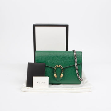 Gucci Dionysus Chain Wallet Crossbody Bag 401231 155912987