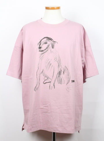 Dior Printed Short Sleeve T-Shirt Pink L 156543715