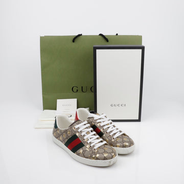 GUCCI Ace Sneakers Größe 6 Biene 548950 155955250 [P]