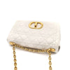 DIOR Christian Caro Bag Medium L790308 156690487 [P]