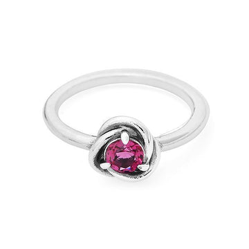 Pandora Moment October Phlox Pink Eternity Circle Women's Ring 192993C10 73425137
