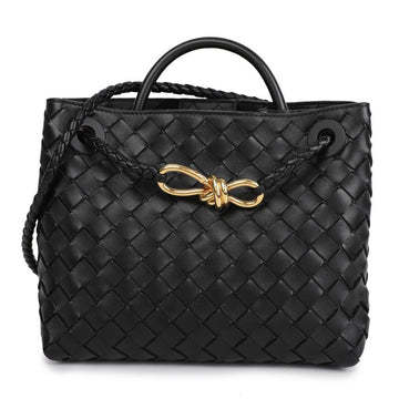 BOTTEGA VENETA ナパレザー スモール アンディアモバッグ 156972842