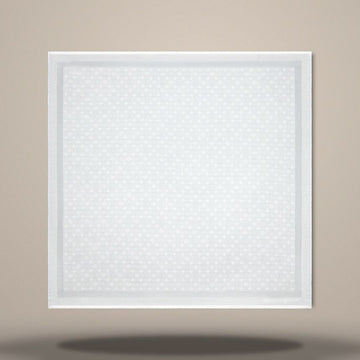 Louis Vuitton Light Grey Petit Natté Shawl M97638 157010192