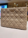 Dior Canage Medium Clutch Bag 2025 S5089 157080449 [P]
