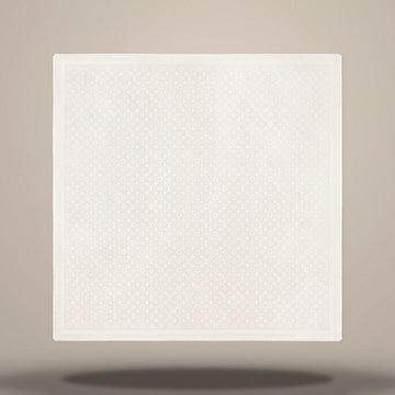 Louis Vuitton Monogram Classic Shawl Gray 157105244