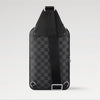 LOUIS VUITTON スリングバッグ N45302 157211993 [P]