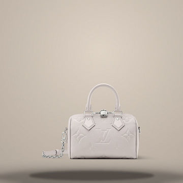LOUIS VUITTON Speedy Bandouliere 20 in Brume Grau M28343 157285548