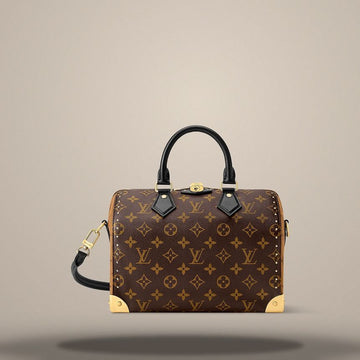 LOUIS VUITTON Speedy Trunk 25 Monogram M26181 157285596