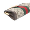 Gucci Ophidia Mini Chain Shoulder Bag and Crossbody 602676 157342348 [P]