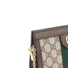 Gucci Ophidia Mini Chain Shoulder Bag and Crossbody 602676 157342348 [P]