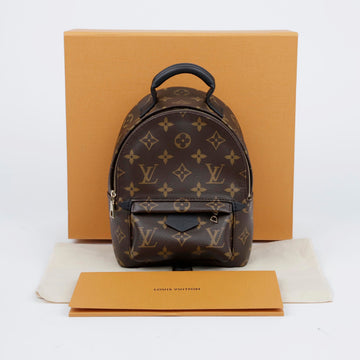 Louis Vuitton Palm Springs Mini Backpack M44873 157120737