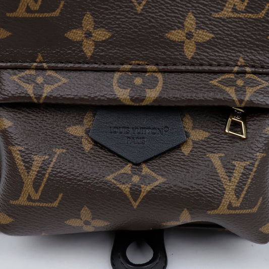 LOUIS VUITTON Palm Springs Mini Rucksack M44873 157120737