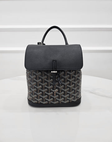 GOYARD Alpin Mini Backpack Schwarz 157798036