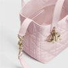 DIOR Vertikaler Tote Bag Small 157909453 [P]