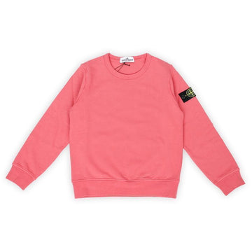 Stone Island Stone Kids Woven Patch Crewneck Sweatshirt (Red) K1S16 6100011 S0040 V0089 127291322 [P]