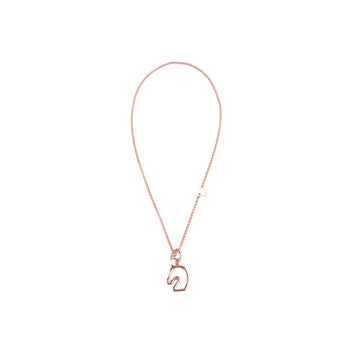HERMES Torner Halskette Klein Modell H100116FOD3 158313130 [P]