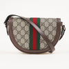 Gucci Small Ophidia Shoulder Bag 158313470 [P]