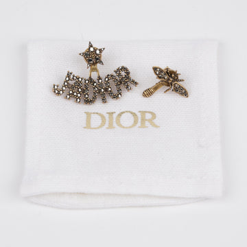 Dior Self-Perpetuating Earrings 158314269 [P]
