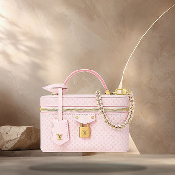 Louis Vuitton Vanity Chain Pouch M29344 158374193 [P]