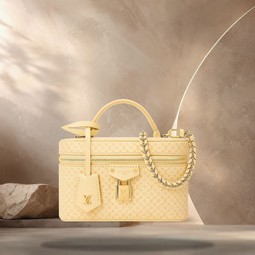 LOUIS VUITTON Vanity Chain Pouch M29051 158374202 [P]