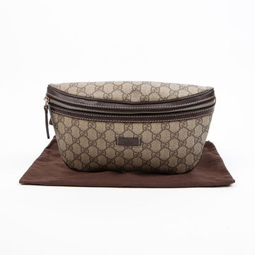 Gucci Canvas Belt Bag 157909405 [P]
