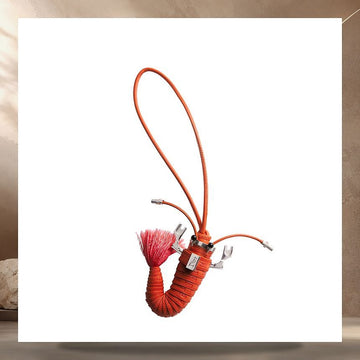 Dior Crawfish Bag Charm Orange Calfskin & Antique Silver Finish Brass 2ESKH662GTR_H125 158405301 [P]