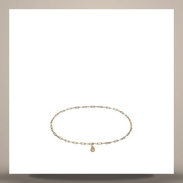 Dior Chain Belt Pale Gold Finish Metal 10mm 158481976 [P]