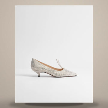 Dior Whisper Pumps Suede Goatskin & Silver Tone Rhinestones 158496113 [P]
