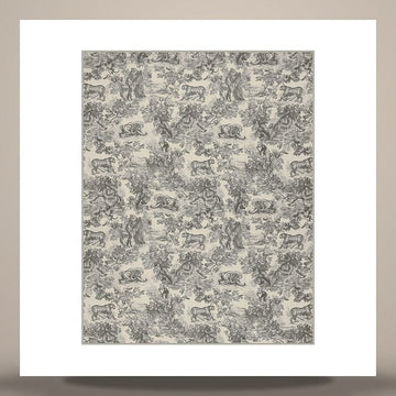 DIOR Toile de Jouy Sauvage Schal aus Kaschmir in Elfenbein und Grau 34JOU300I002_C810 158496279 [P]