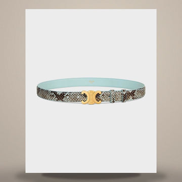 Celine Triomphe Belt 25MM - Python Powder Blue 45AK92T90.GJQ6 158502774 [P]