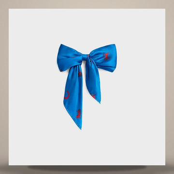 LOUIS VUITTON Big Bow Hair Clip - Seide & Stahl Ultrablau / Ultrared 158505143 [P]