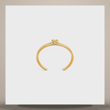 CELINE Notiz Doppelarmband - Gold-Finish Messing 461FV6BRA.35OR 158505226 [P]