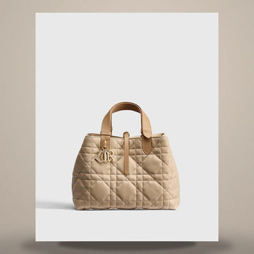 DIOR Zweifarbiges Trench & Makronenkäse in Kalbsleder M2821OSOB_M10I 158666140 [P]