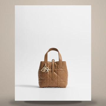 Dior Tuchou Vertical Tote Bag Small Camel Macro Canage Calfskin M2835OSNW_M65M 158666152 [P]