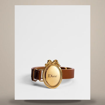 Dior Medallion Belt Brown Smooth Calfskin 25mm 158666514 [P]