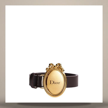 Dior Medallion Belt Cocoa Smooth Calfskin 25mm 158713575 [P]