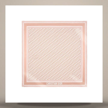 DIOR Twin Oblique 90 Quadrat Schal Rose des Vents & Grau Seidentwill 158730701 [P]