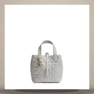 DIOR Tote Bag Small Grey Pietro Makronage Kalbsleder M2835OSNW_M68G 158730942 [P]