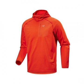 Arc Teryx Delta Pullover Hoodie 155587332 [P]